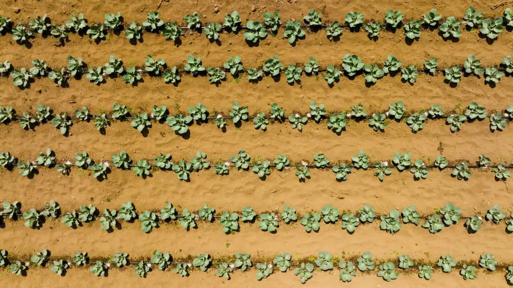 昆明臧培科技实验室通风工程全流程解析：从设计到安装的定制化解决方案