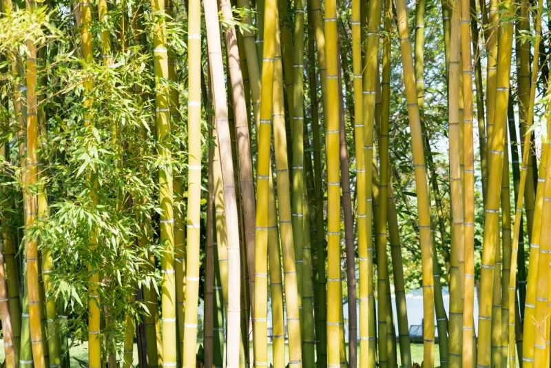 实验室通风系统风量设计计算方法与工程实例分析