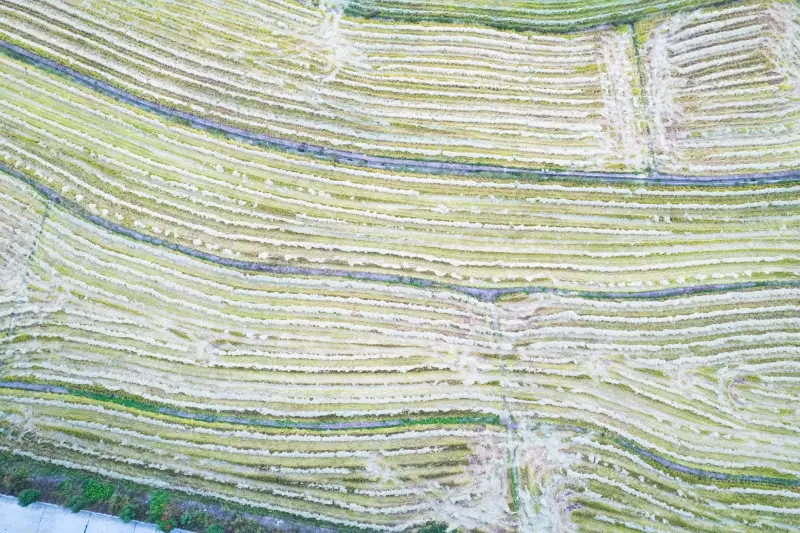昆明实验室通风工程：臧培科技废气处理方案技术要点解析