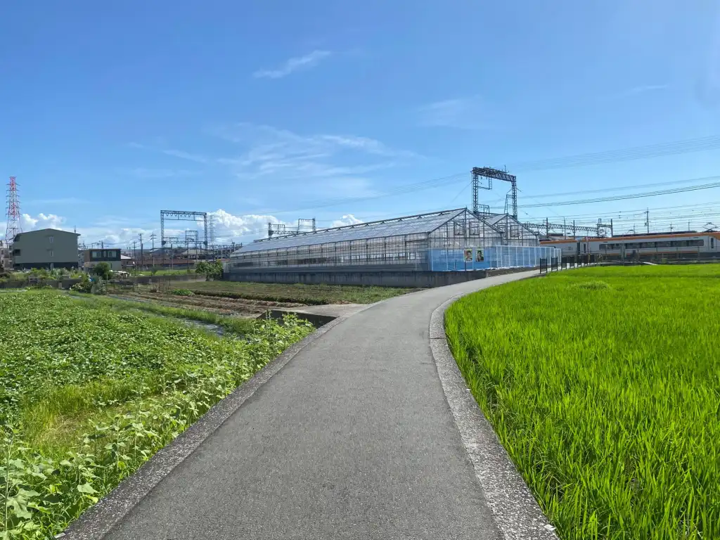 实验室通风系统设计方案：风量平衡与废气处理集成要点