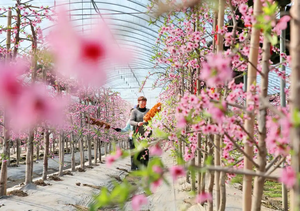 实验室通风系统设计要点：如何科学规划风量与排风管道布局